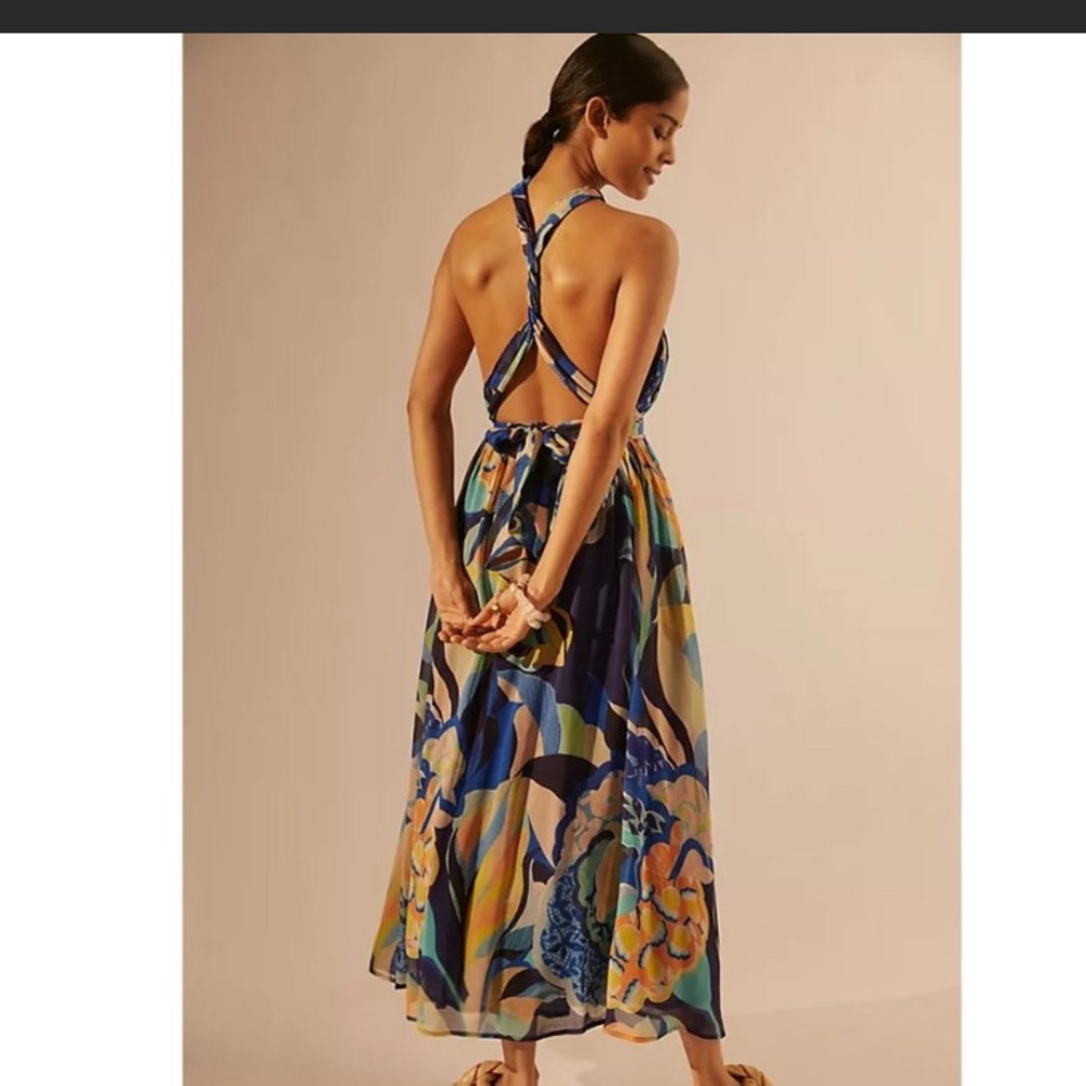 Alexandra Farmer | Printed Halter Maxi Dress | anthropology